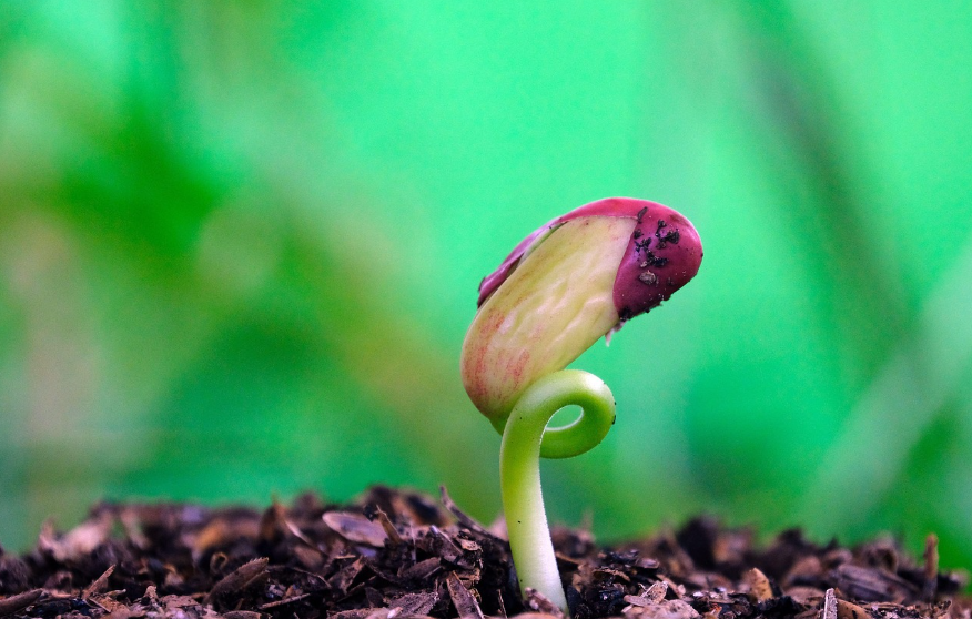 조용히 진행되는 신장 질환, 만성콩팥병을 반드시 알아야 하는 이유