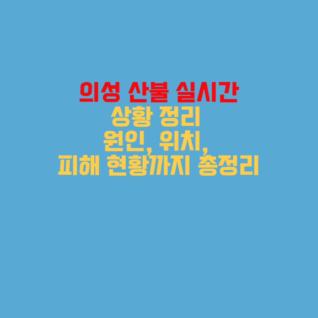 의성 산불 자원봉사, 구호물품 전달 방법, 기부처 안내