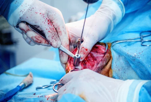 중성화 수술/출처:어도비스톡