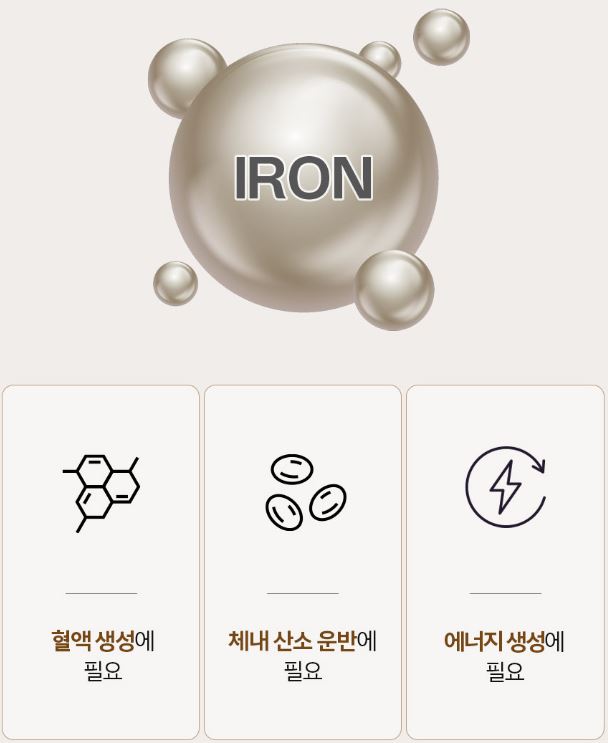 솔가 철분제