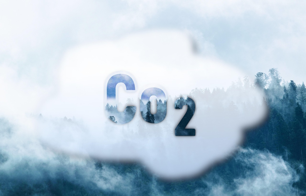carbon tax 관련 사진