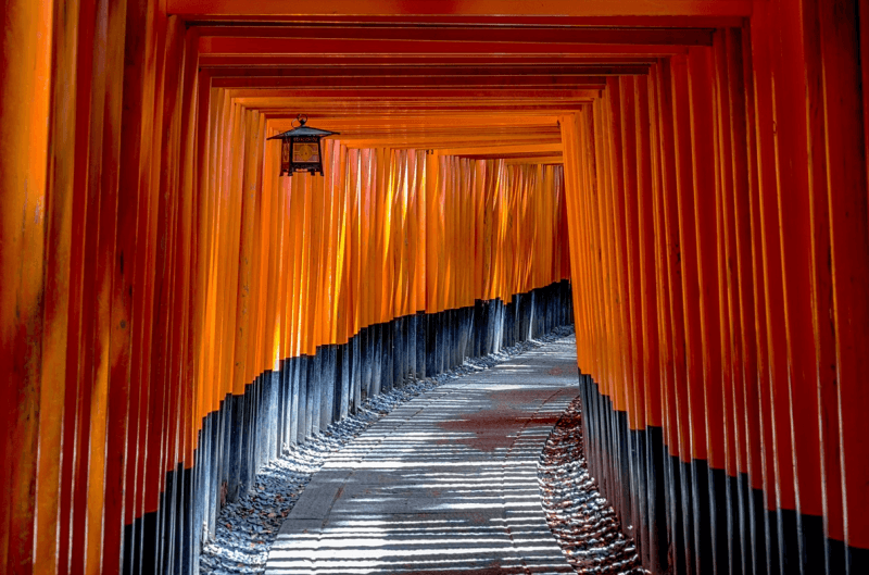 국내 여행객에게 인기 좋은 일본 여행지