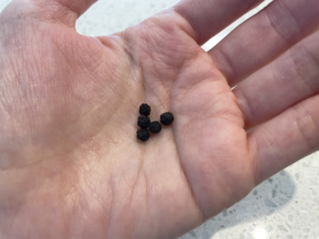 소고기 소보로 양념 - 통후추