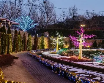 퍼스트가든 별빛축제_4