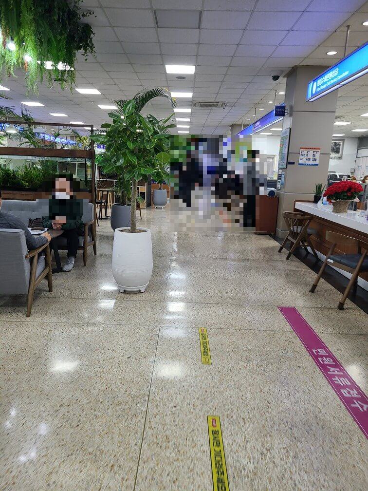 여권 신청 방법