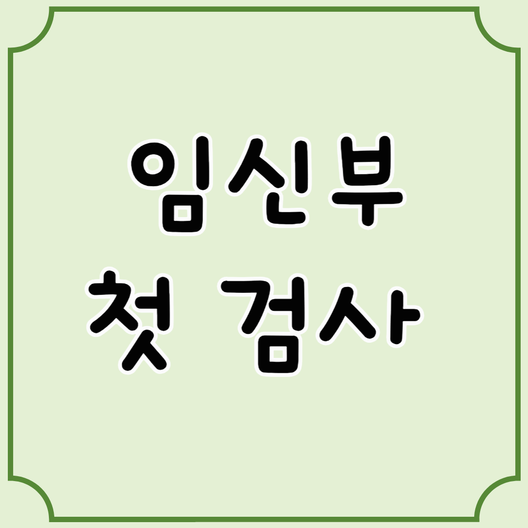 임신부 첫 검사, 언제 가야 하고 무엇을 하나요?