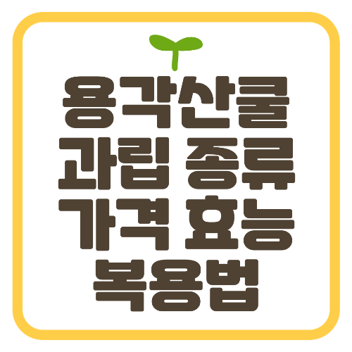 용각산쿨 과립 종류 가격 효능 복용법