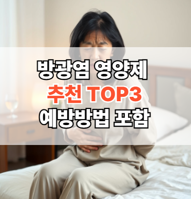 방광염-영양제-추천-예방-방법-정리