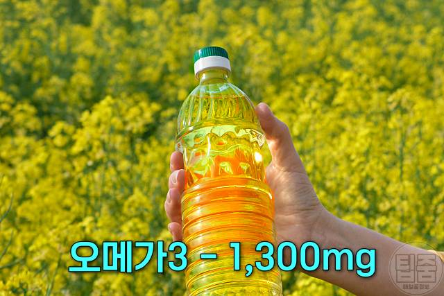 오메가3 많은 음식 카놀라유 생선 말고 제외