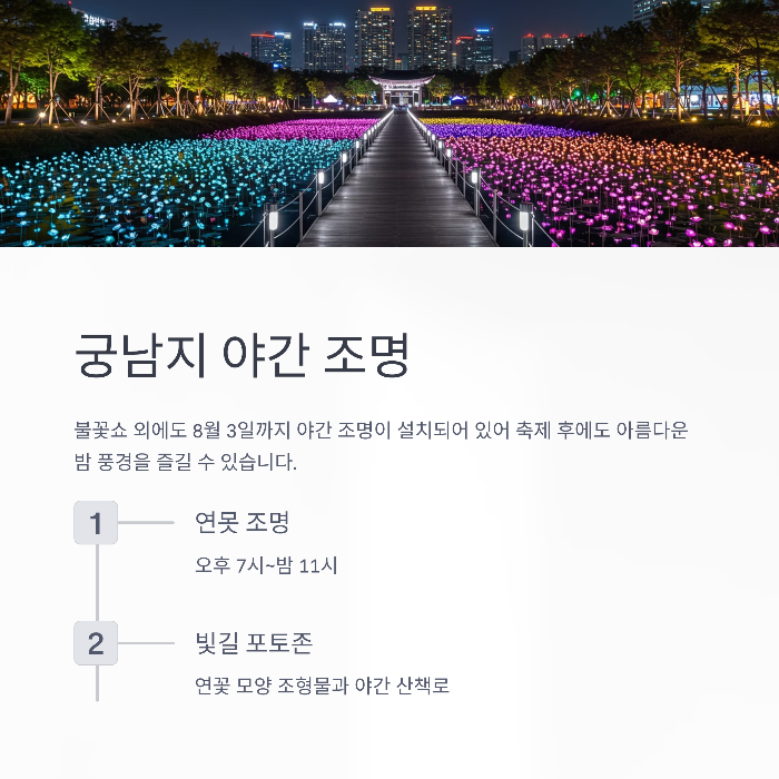 부여 연꽃축제 야간