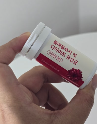 콜레올로지 컷 다이어트 유산균 효과