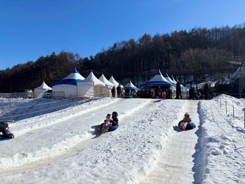 태백산 눈축제 2026|1월 31일~2월 8일 대한민국 대표 겨울 축제 가이드 관련 사진