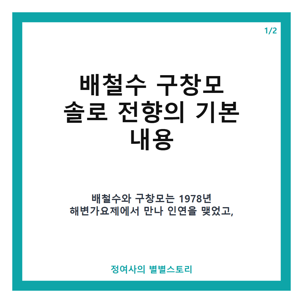 배철수 구창모 솔로 전향과 송골매 탈퇴 뒤 전성기 이야기 카드뉴스 1