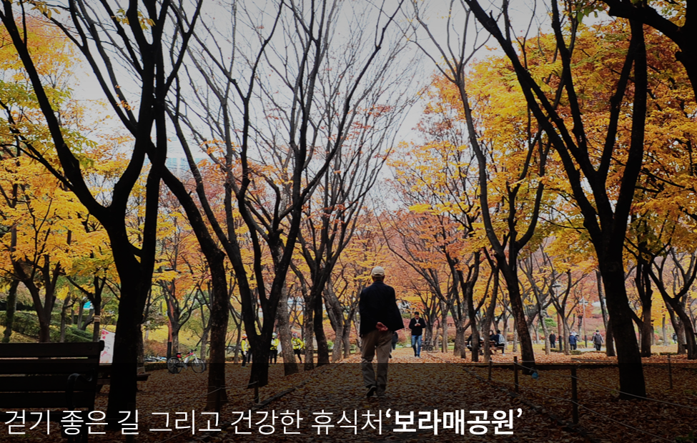 서울-보라매공원