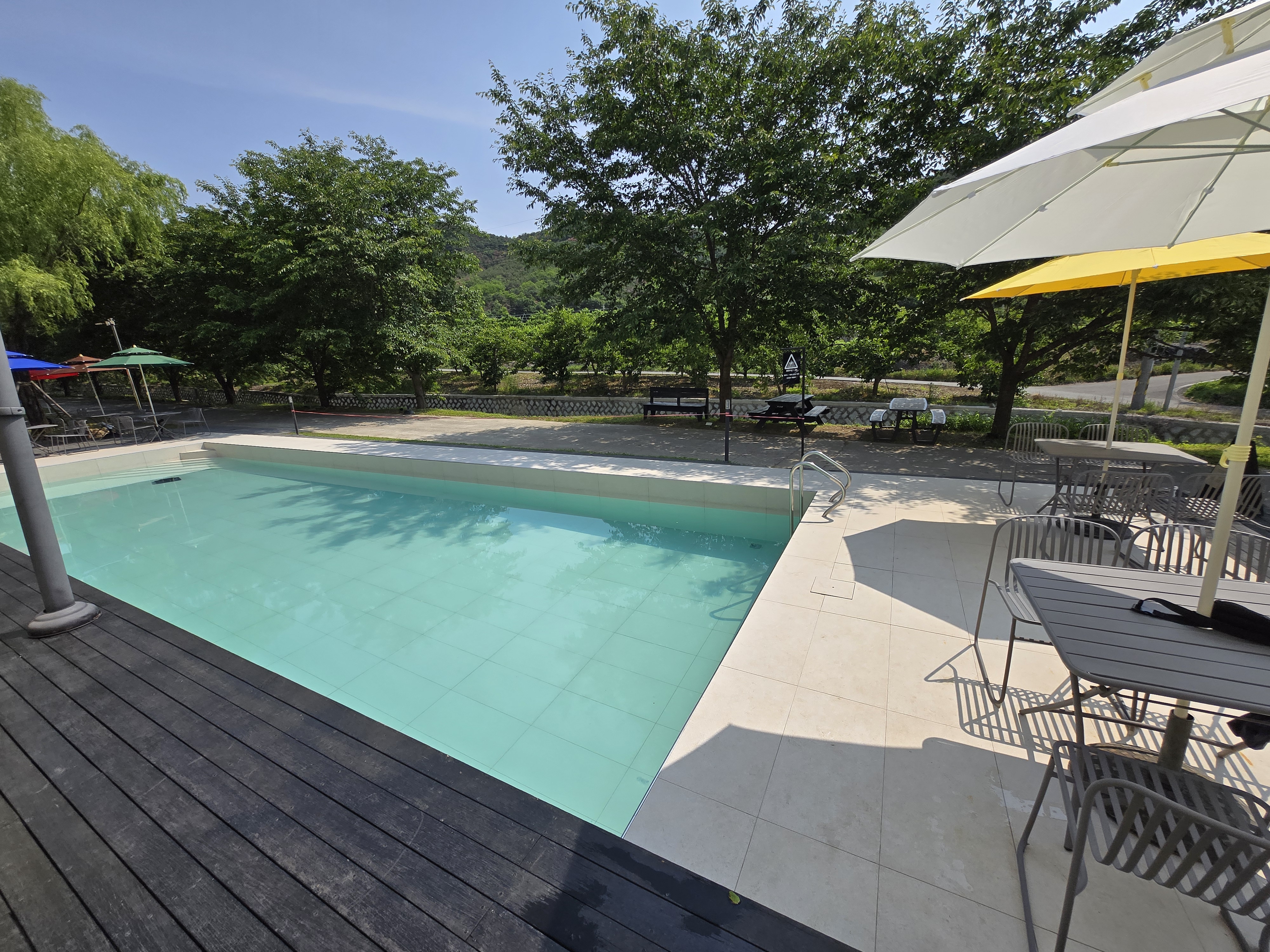 청도 수영장 카페 트리풀 메인수영장