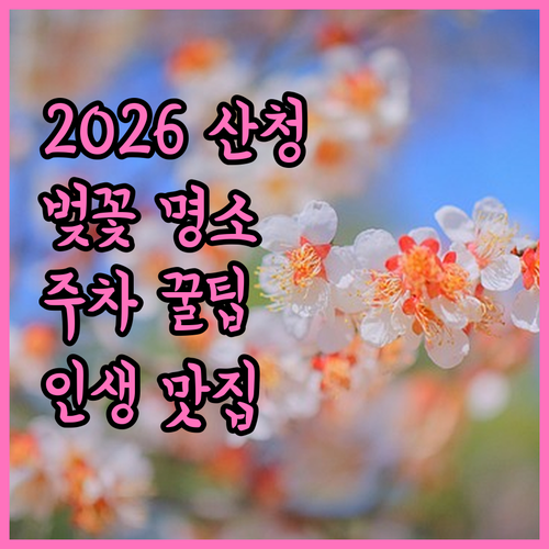 2026년 봄 산청 벚꽃 여행 준비물..