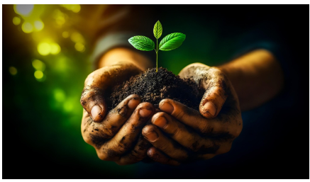 양육비 선지급제