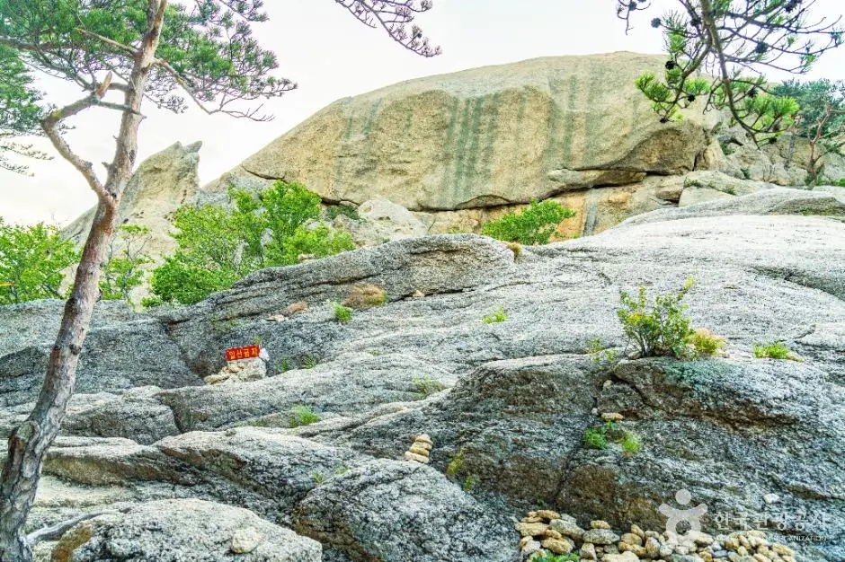 41026e8f-32d9-417b-bdc1-9d77f9864957