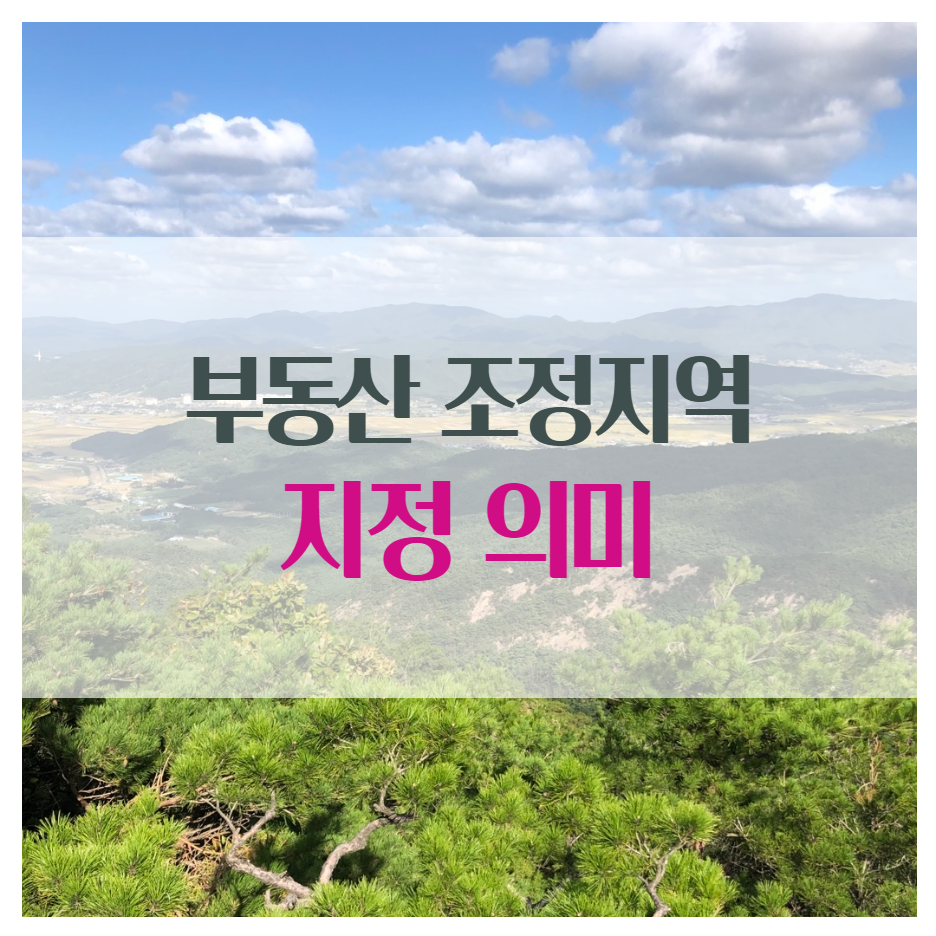 부동산 조정지역 지정 의미
