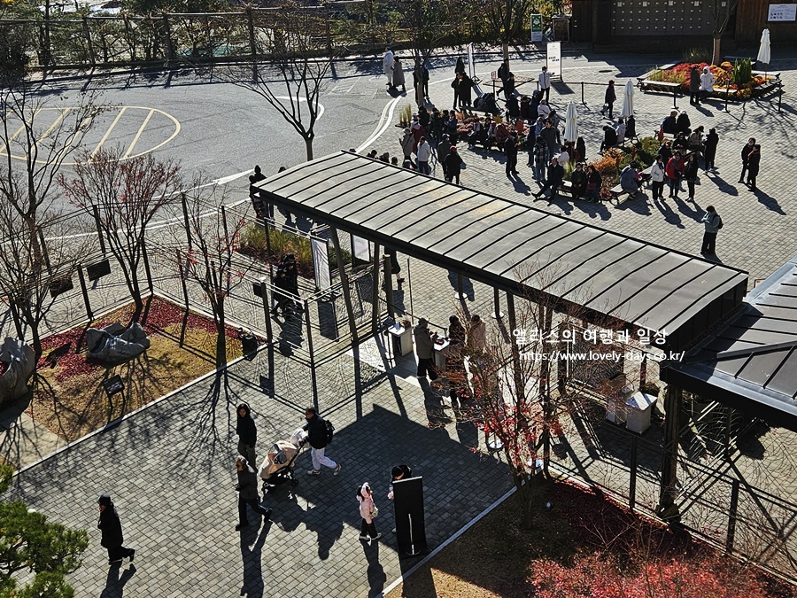 2025 화담숲 마지막 가을 단풍 화담채 분재 즐기기