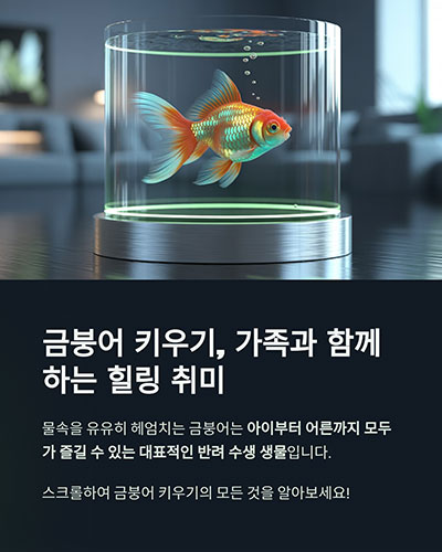 금붕어 키우기, 어떻게 시작하면 좋을까요?