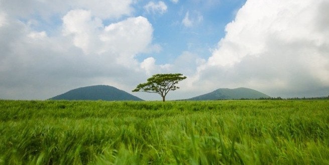 복음살이란 무엇인가?