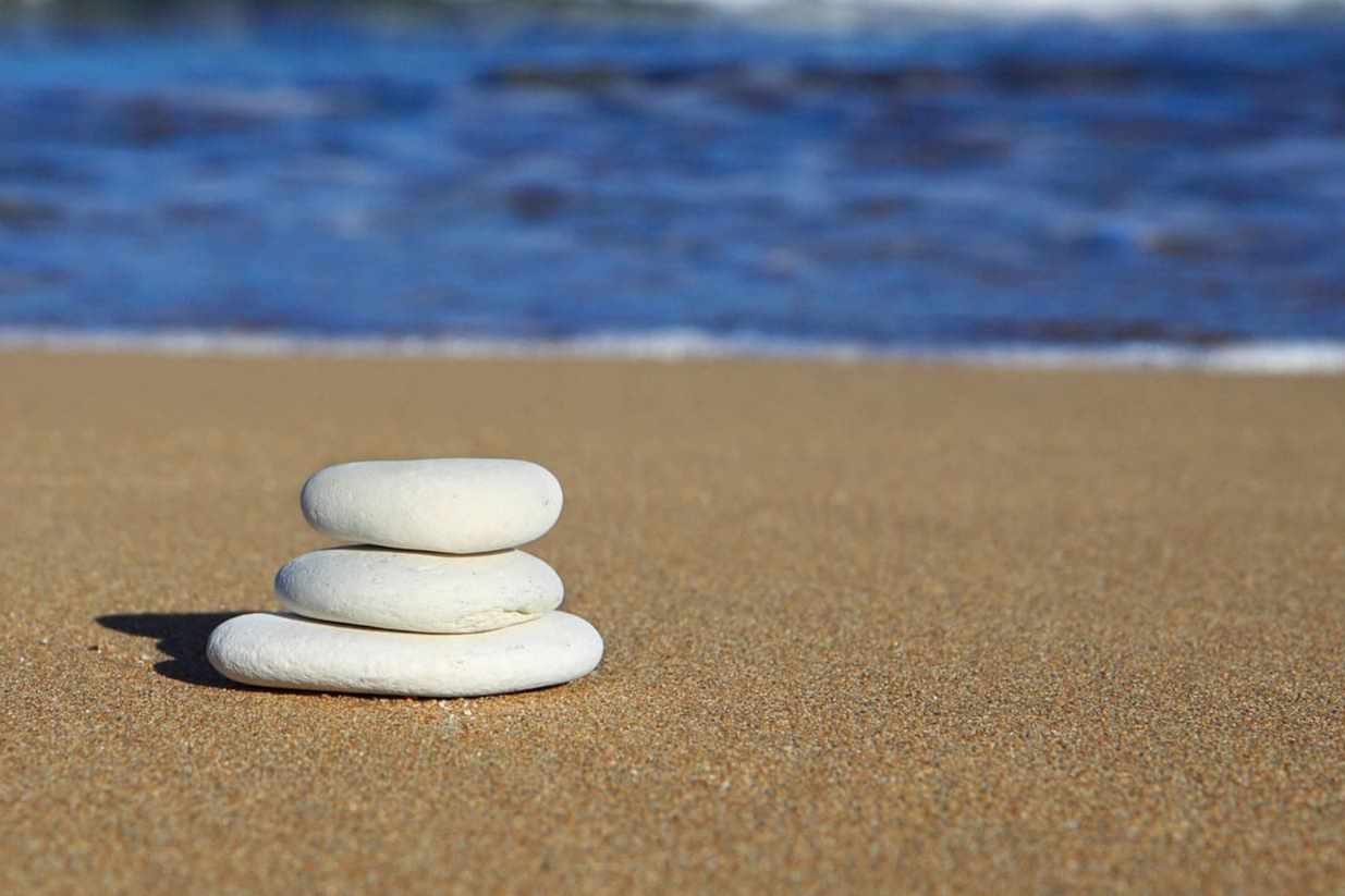 생물 진화 속의 비선형적 변화