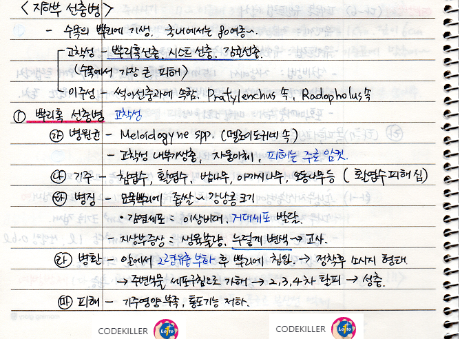 지하부선충병 - 뿌리혹 선충병