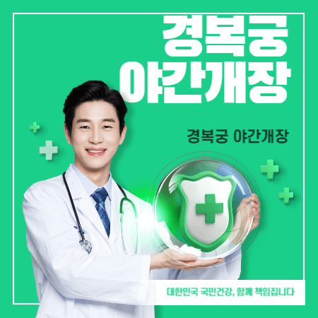 경복궁 야간개장