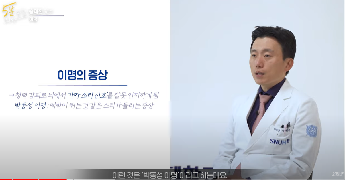 이명의 증상