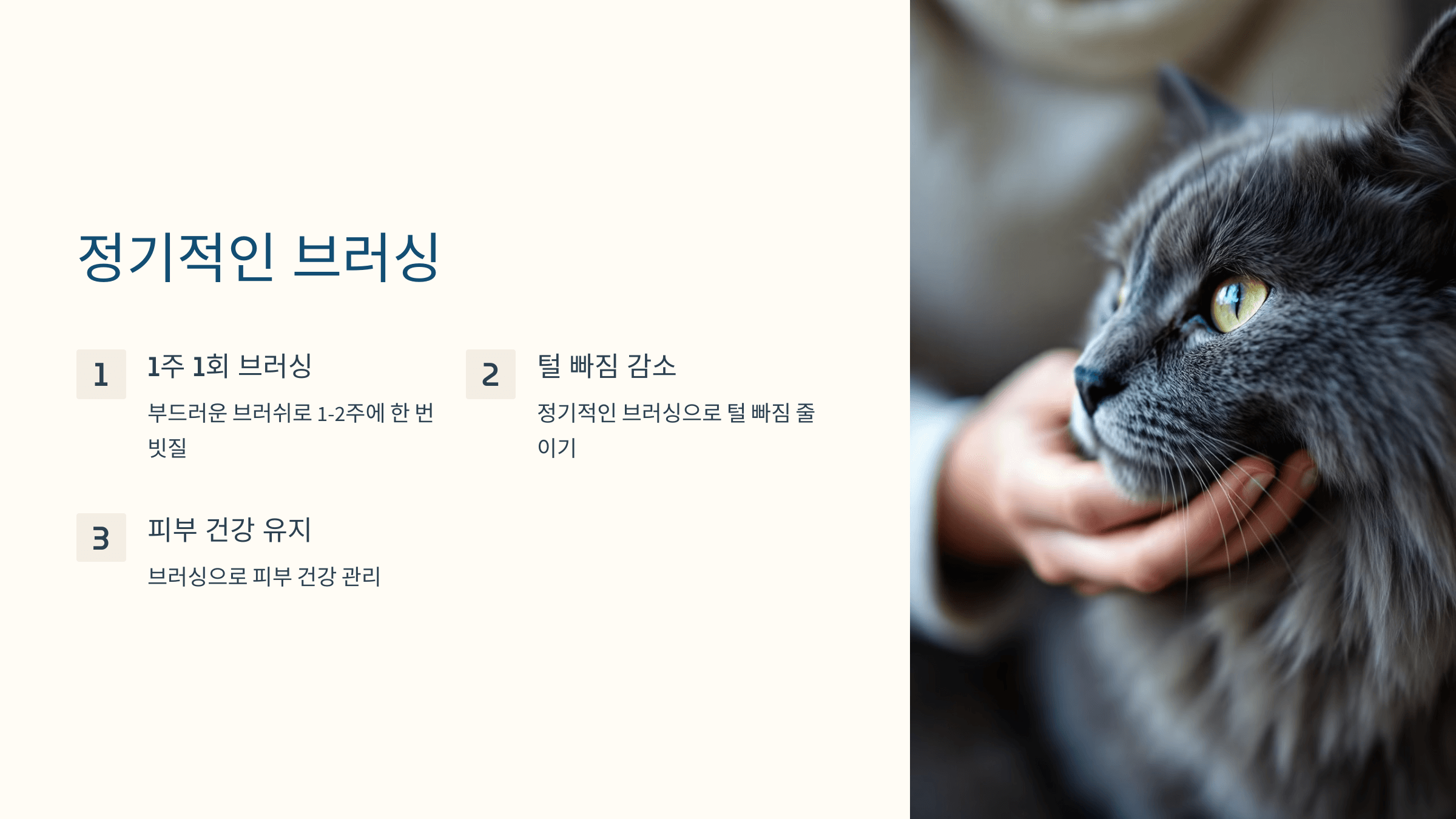 러시안블루 고양이 사진입니다.