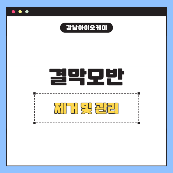 결막모반수술제거