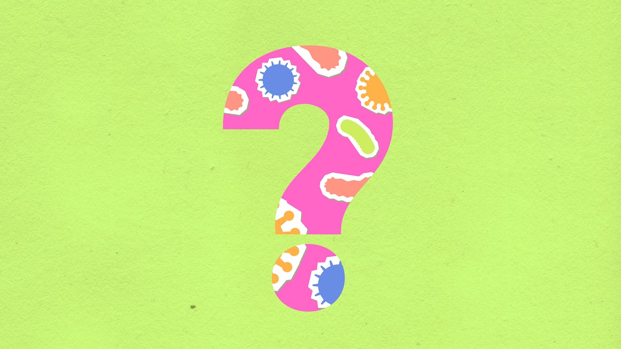 IQ 테스트 (무료검사) 하기