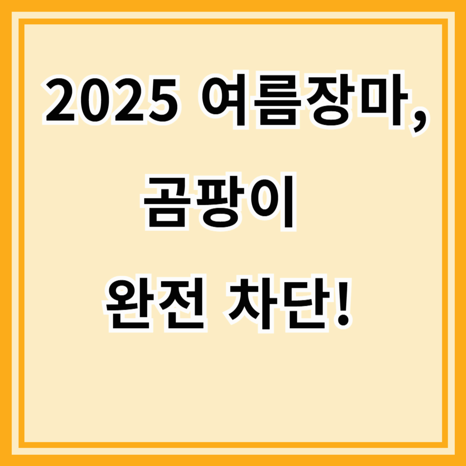 2025년 여름, 장마철 곰팡이 완벽 제거 & 예방 가이드