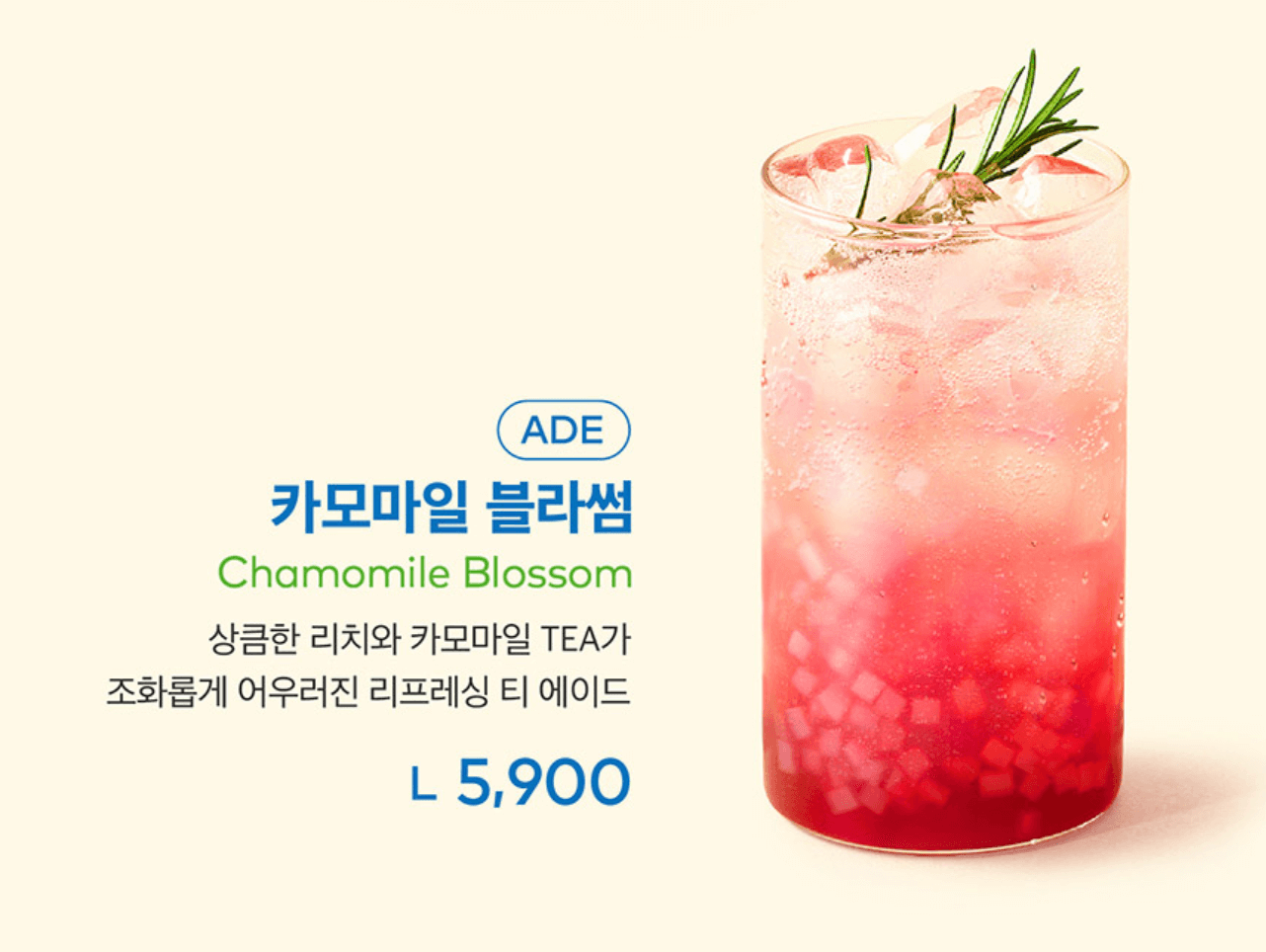 카모마일 블라썸