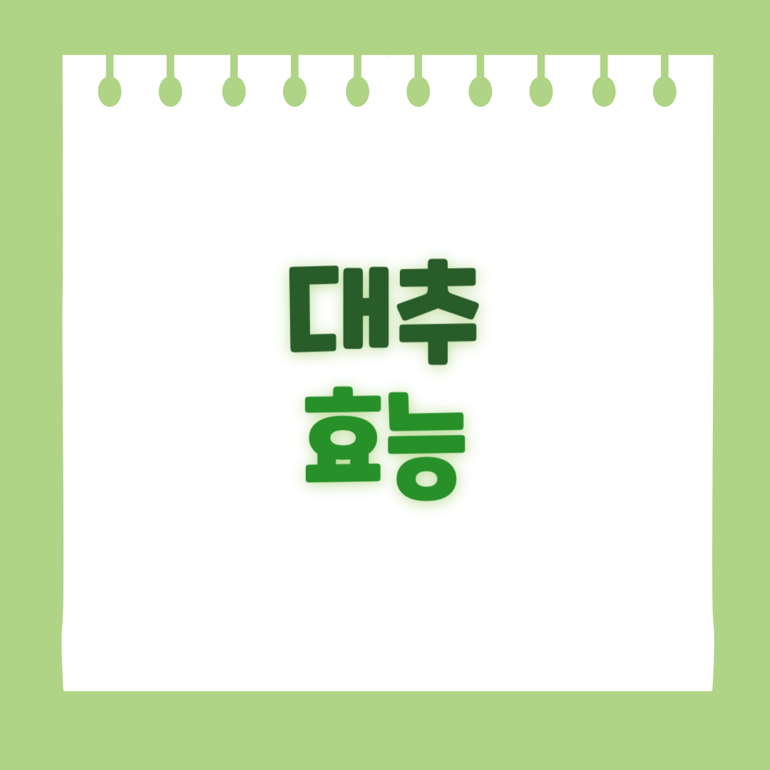 대추의 효능