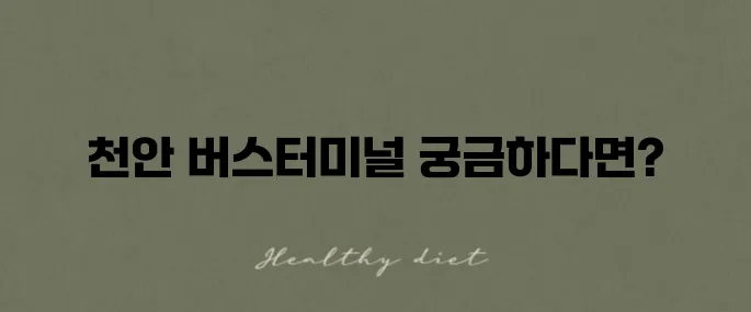 천안종합버스터미널 운행시간과 지역 정보 안내드립니다!