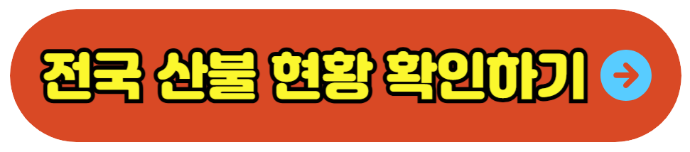 전국 산불 현황 확인하기 산림청 홈페이지