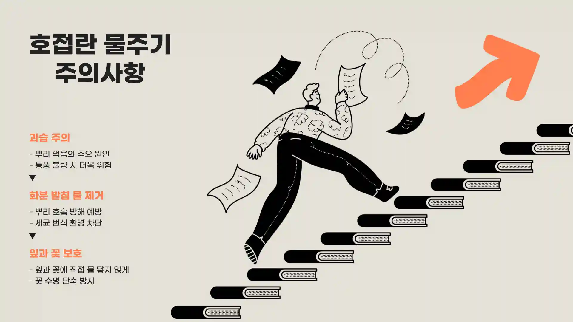 호접란 키우는 법 물주는 방법