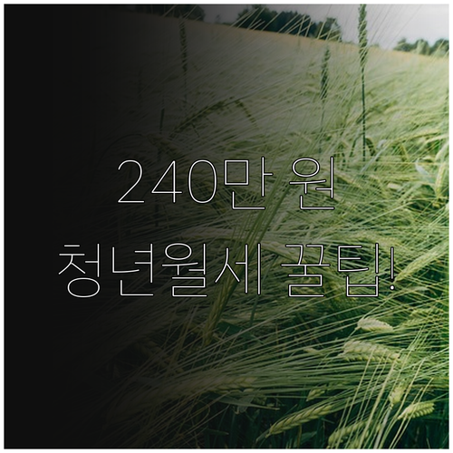 사천시 청년월세 최대 240만 원 지..