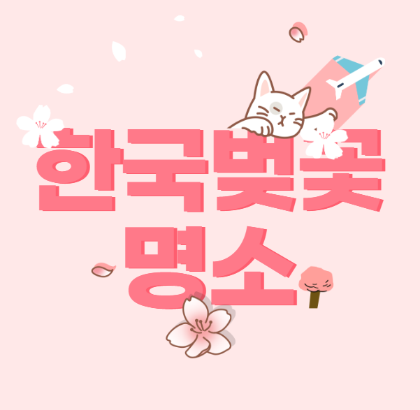 한국 벚꽃 명소 개화시기