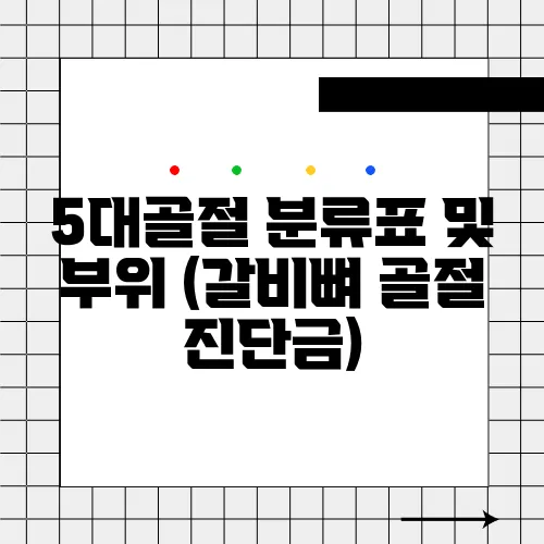 5대골절 분류표 및 부위 (갈비뼈 골절 진단금)