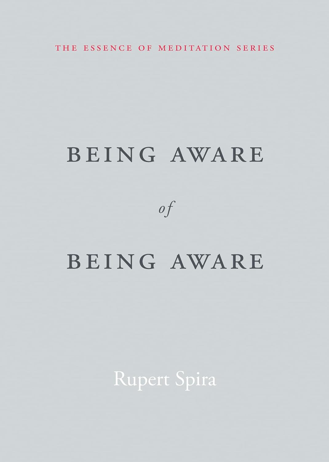 Being Aware of Being Aware 책 표지