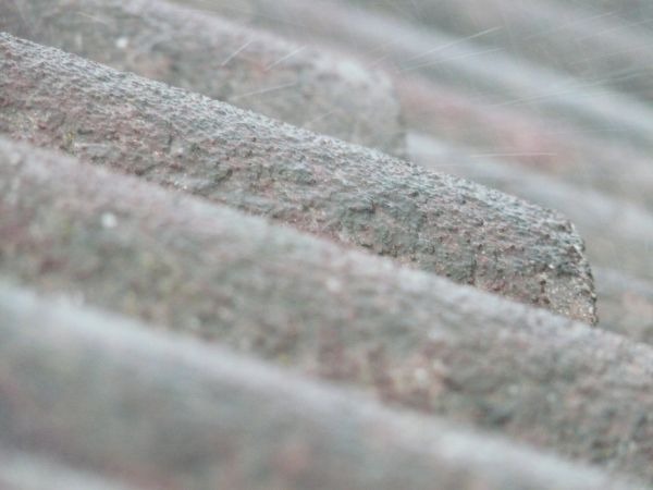 1호 태풍 우딥 경로 (+ 실시간 현재 위치) 