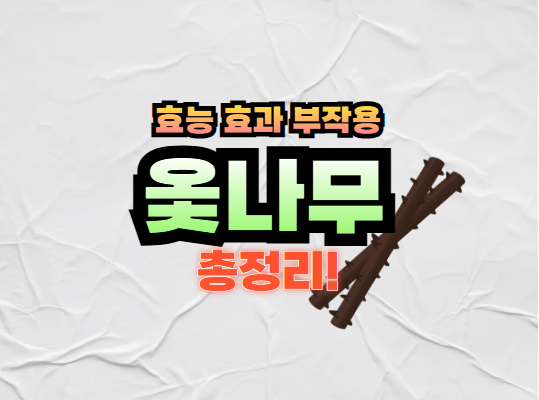 옻나무 효능 효과 총정리