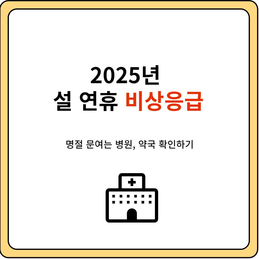 2025년 설 연휴 비상응급