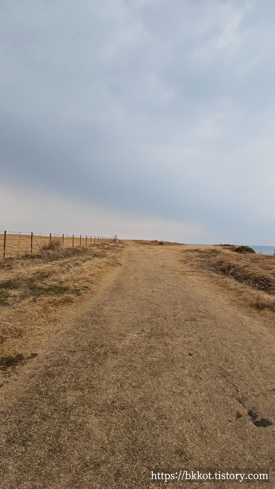 제주도 카페물썹