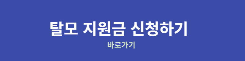 탈모 지원금 신청하러 가기