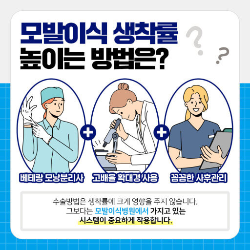 모발이식 관리