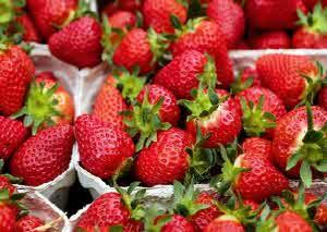 갱년기 증상 30가지 자가진단 치료방법